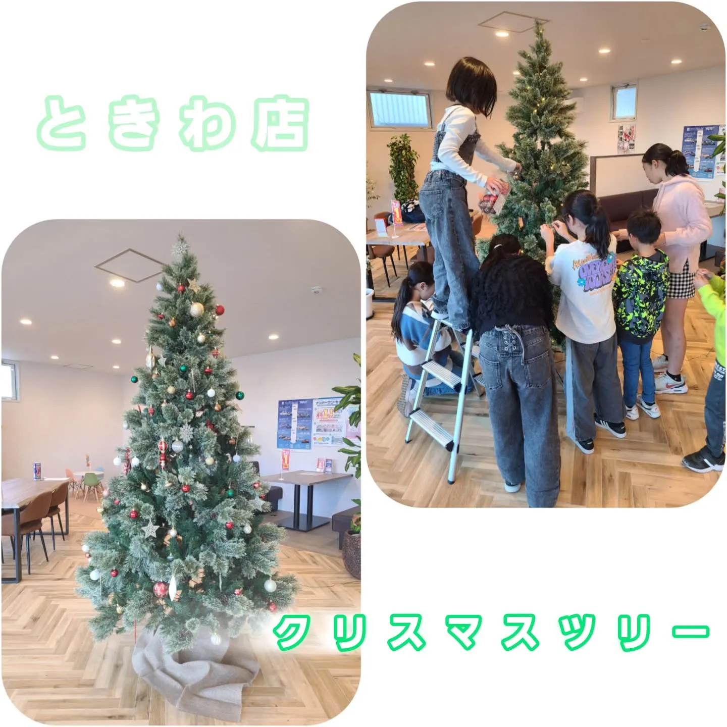 クリスマスツリー🎄